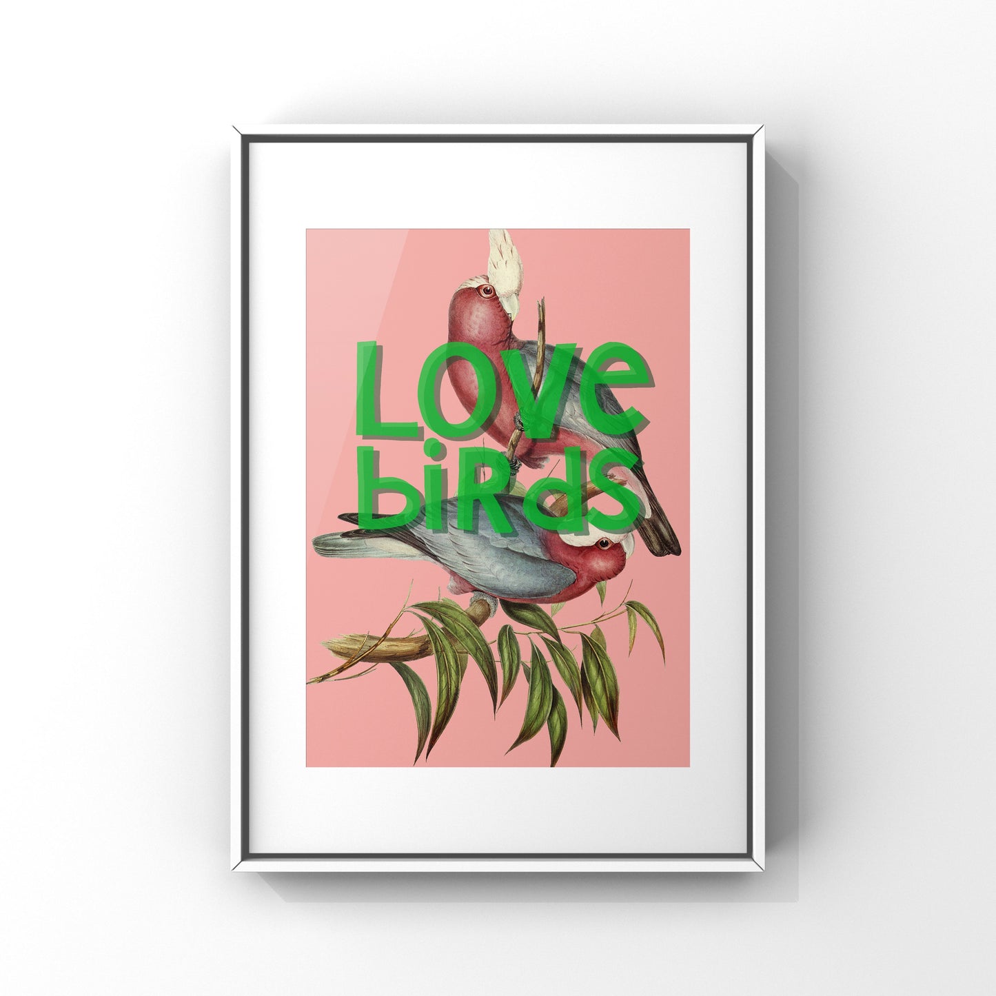"Love Birds" | Fine Art Print
