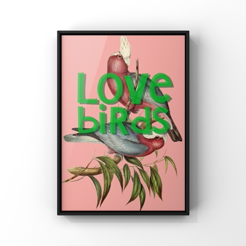 "Love Birds" | Fine Art Print