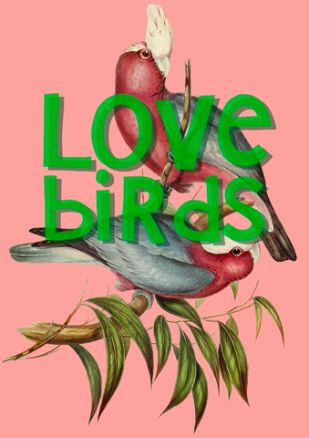 "Love Birds" | Fine Art Print